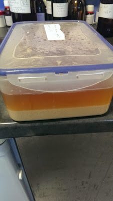 Homebrew Yeast Cropping