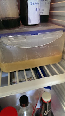 Homebrew Yeast Cropping