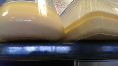 Homebrew Yeast Cropping
