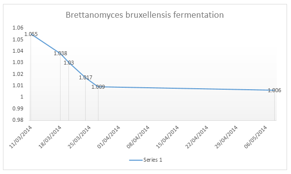 Brettanomyces Fermentation