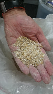Finely crushed grains with a high proportion of malt flour