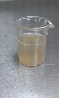 Berliner Weisse Sample