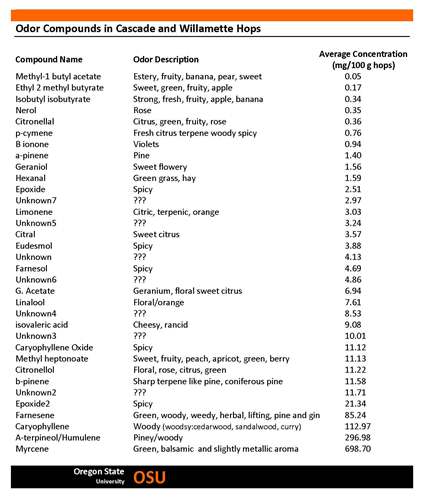 hop oil descriptions