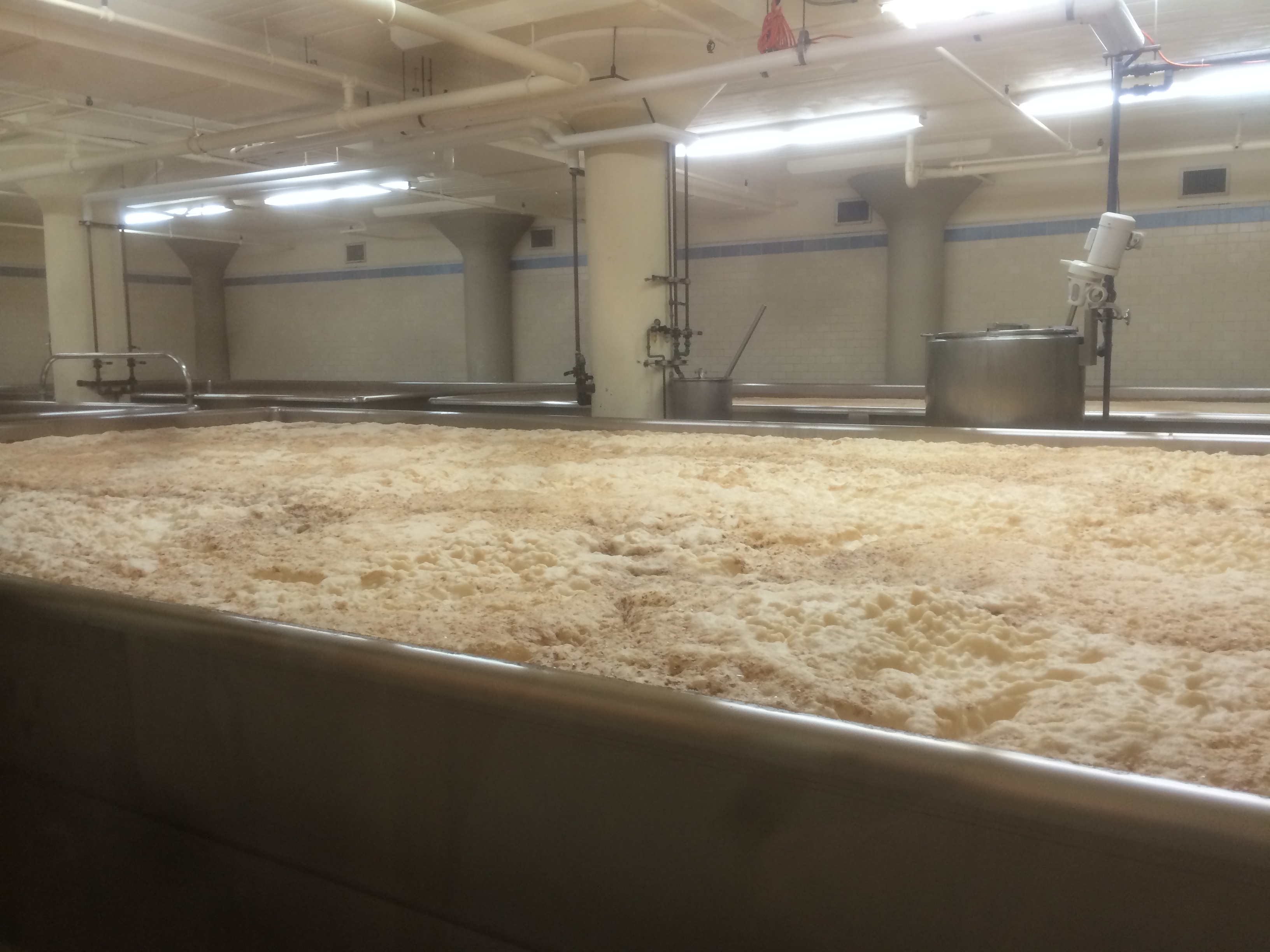 Open Fermentation for Belgian Yeast Strains Grainfather Community